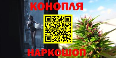 спиды Кинель