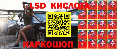 прущие грибы Коммунар
